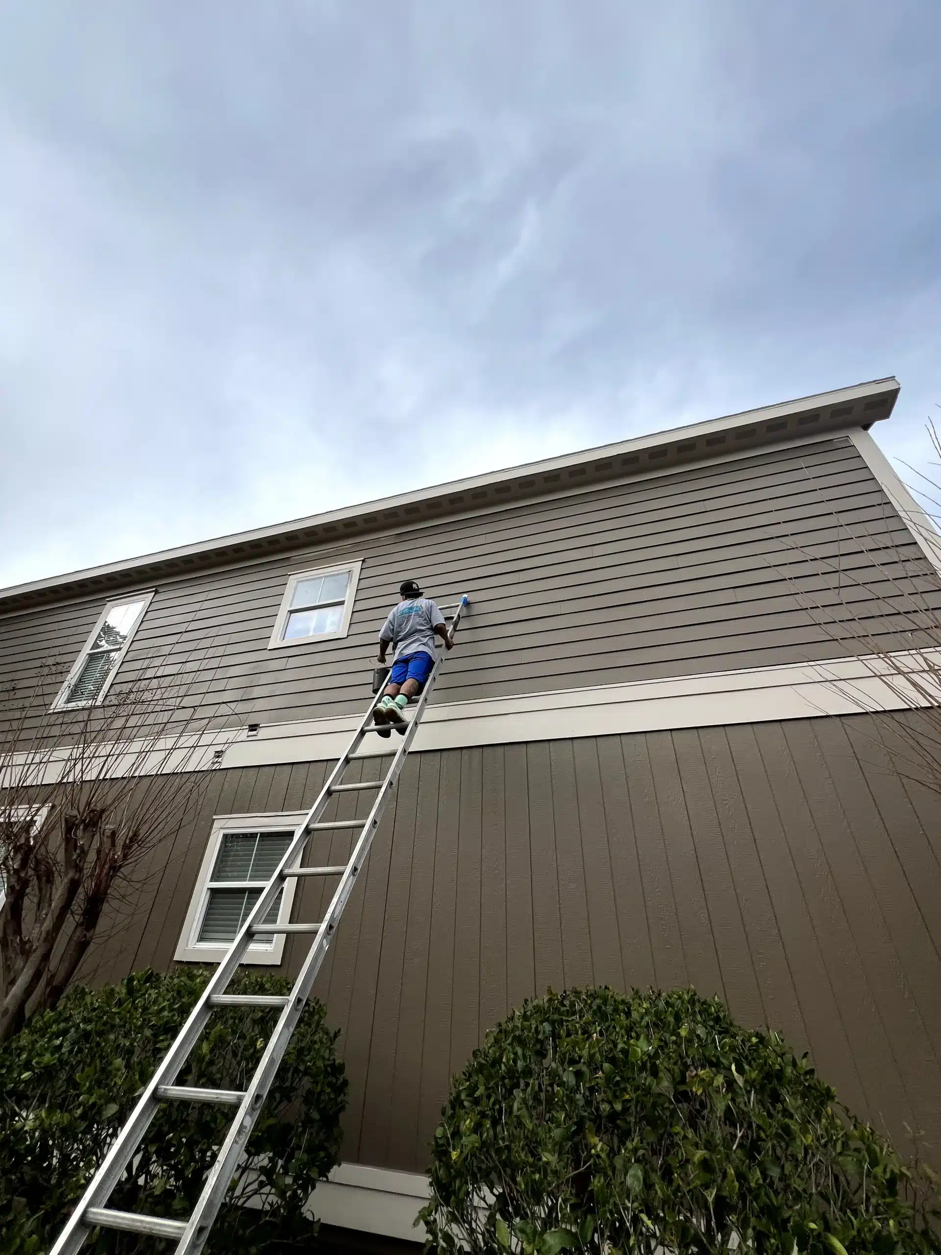 Professional Exterior Siding Painting Services A professional painter on a tall ladder applying fresh paint to the brown exterior siding of a house.